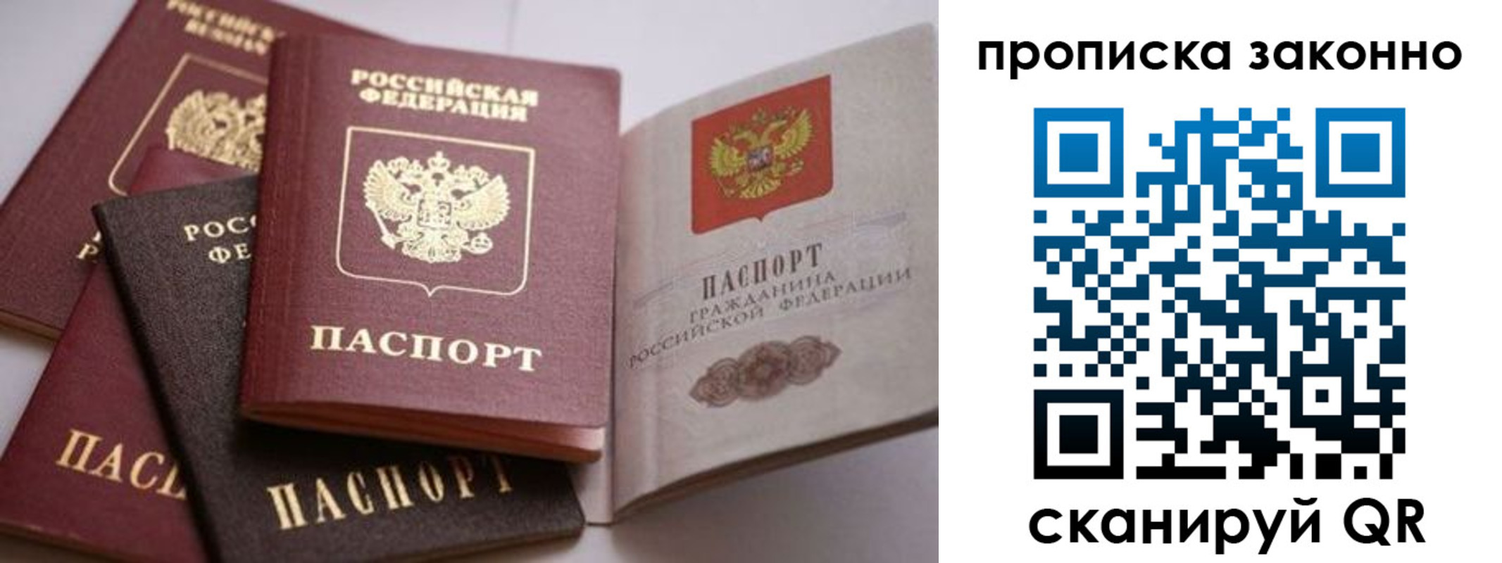 прописка 2025 в Лыткарино